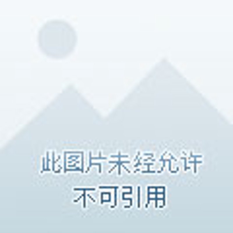 坯布行业发展趋势与应用前景